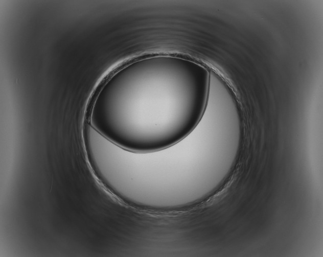 X0000085020942200703050934