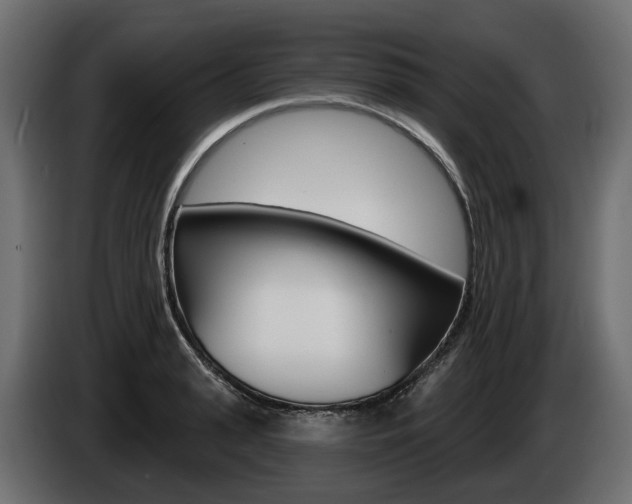 X0000085020943200703050934