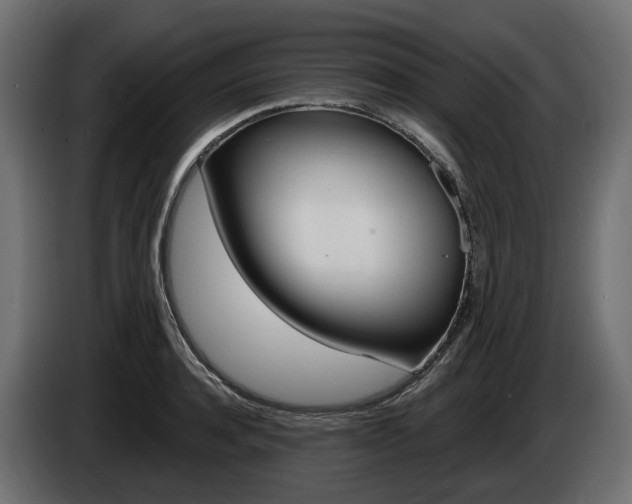 X0000085020944200703050934