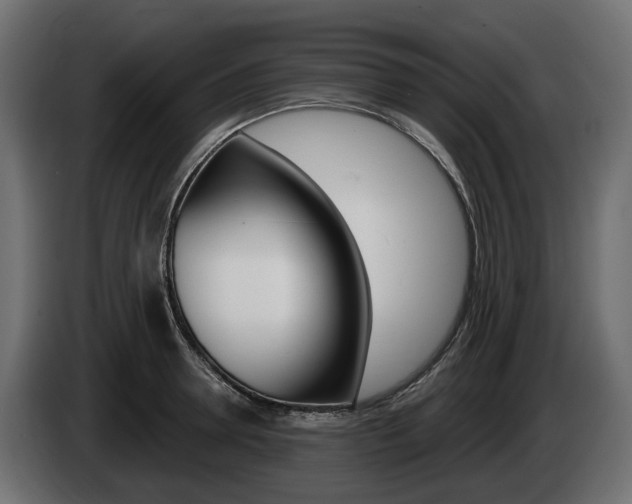 X0000085020946200703050934