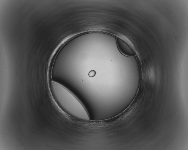 X0000085020947200703050934