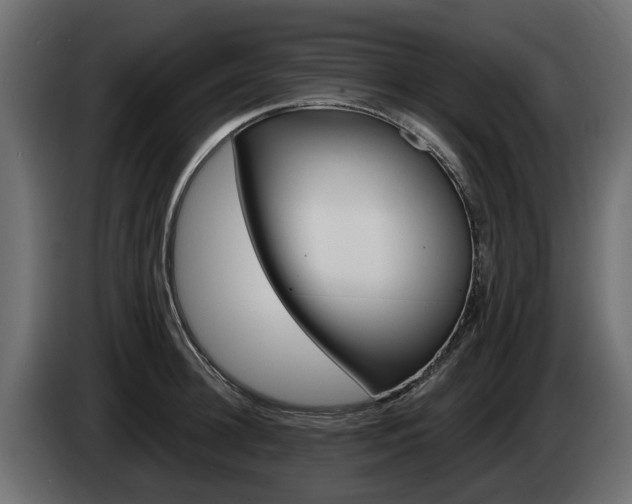 X0000085020948200703050934