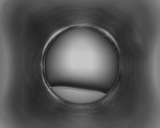 X0000085020951200703050934