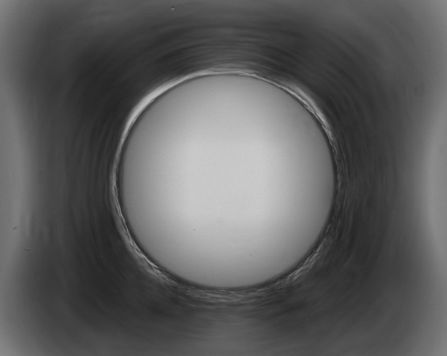 X0000085020952200703050934