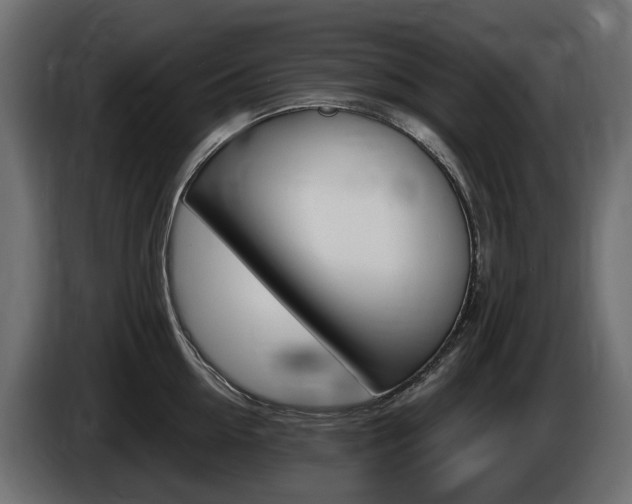 X0000085020954200703050934