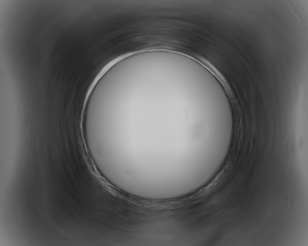 X0000085020956200703050934
