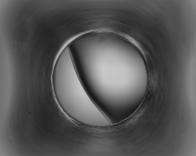 X0000085020959200703050934