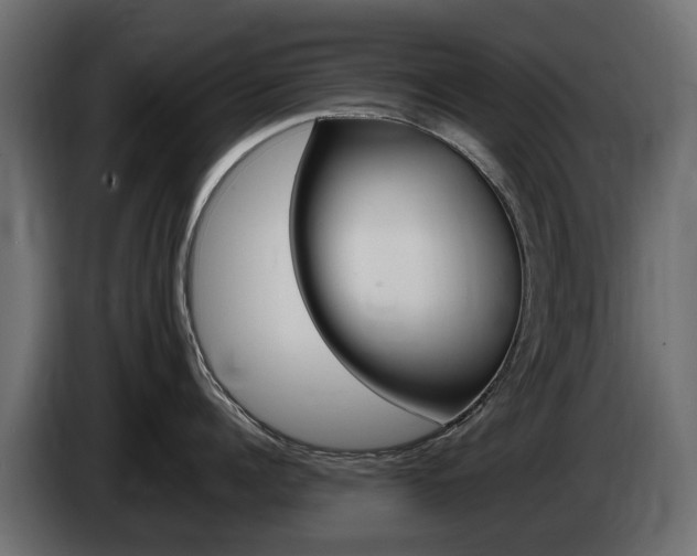 X0000085020960200703050934