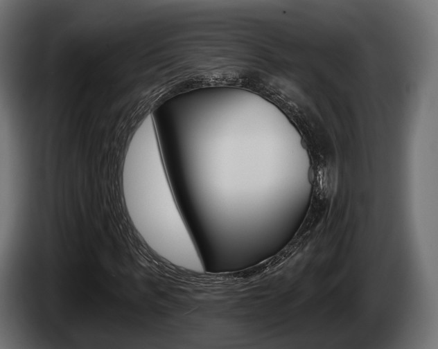 X0000085020963200703050934