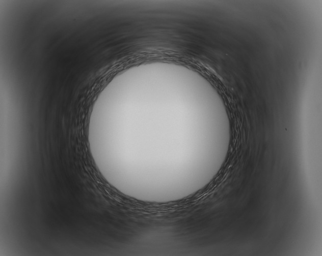 X0000085020965200703050933