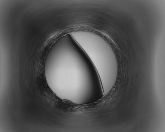 X0000085020967200703050933