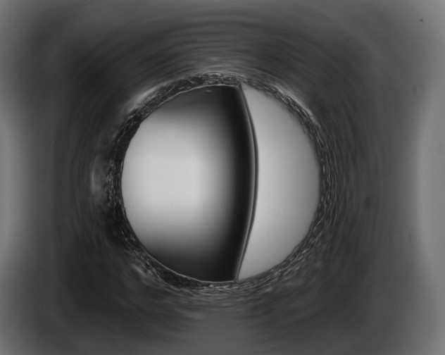 X0000085020968200703050933