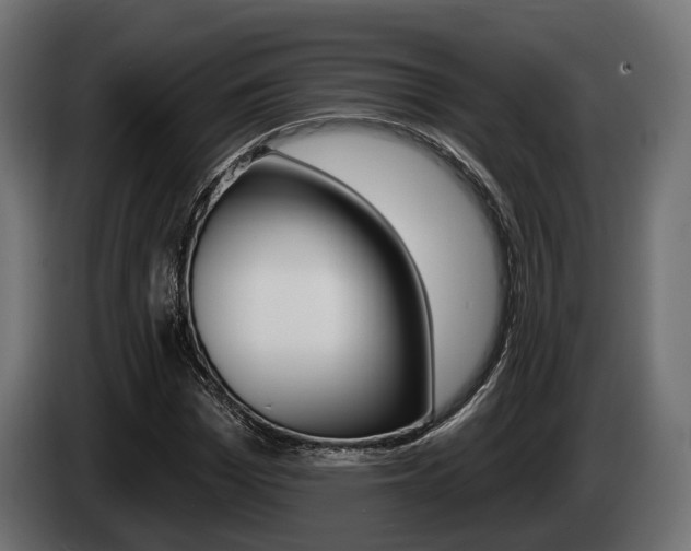 X0000085020969200703050933
