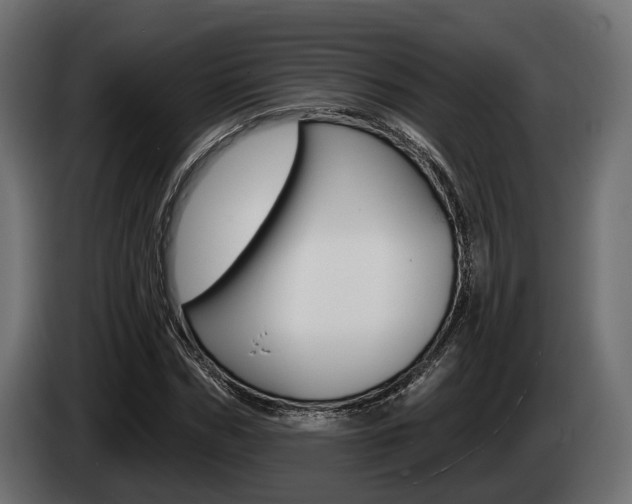 X0000085020970200703050933