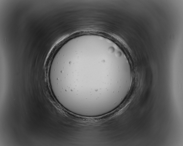 X0000085020974200703050933