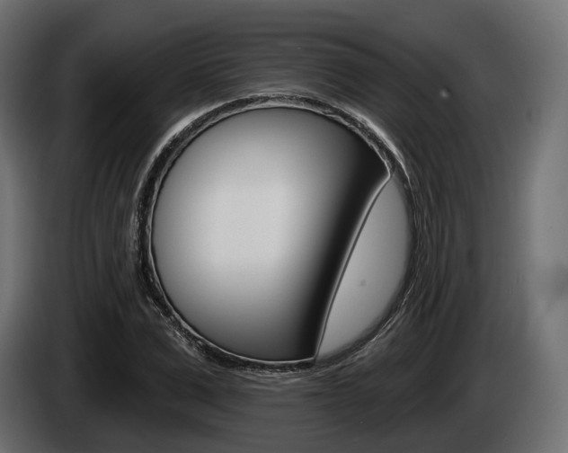 X0000085020975200703050933