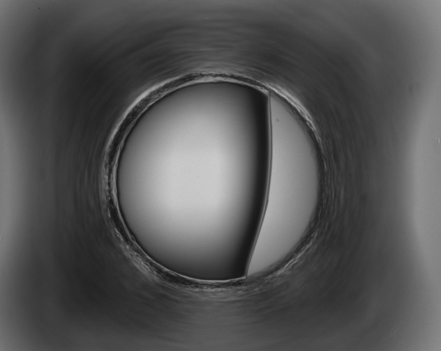 X0000085020976200703050933