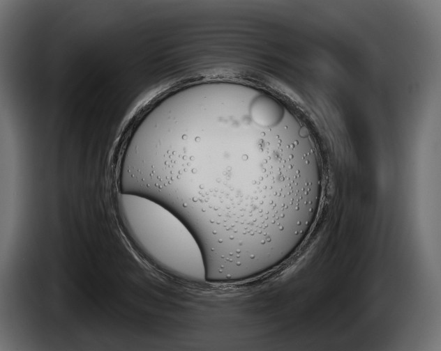 X0000085020978200703050933
