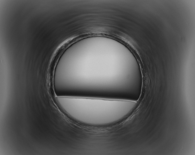 X0000085020979200703050933