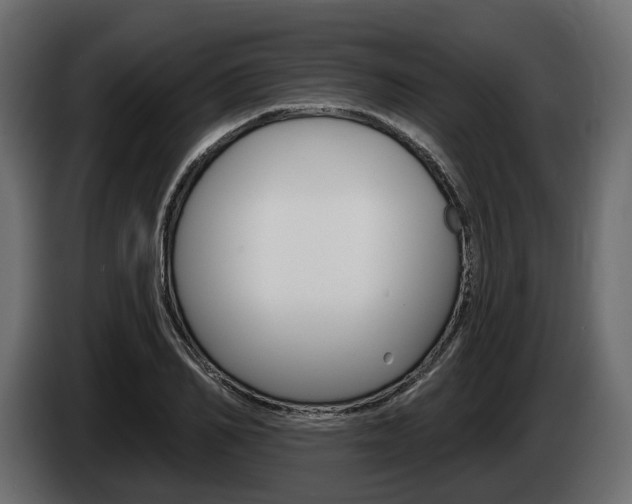X0000085020982200703050933