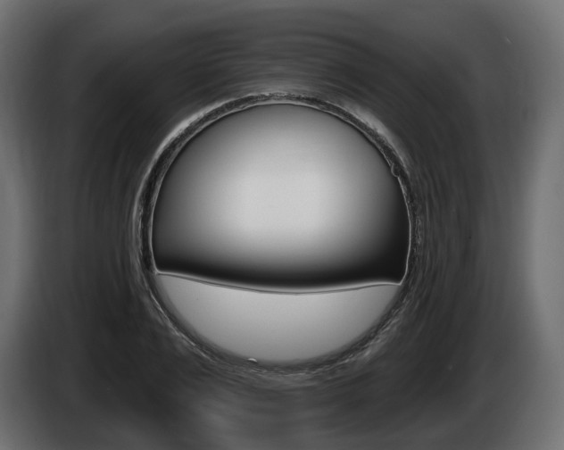 X0000085020983200703050933
