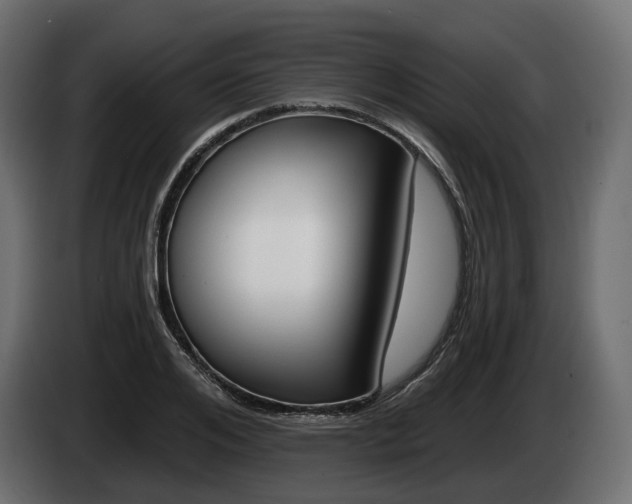 X0000085020984200703050933