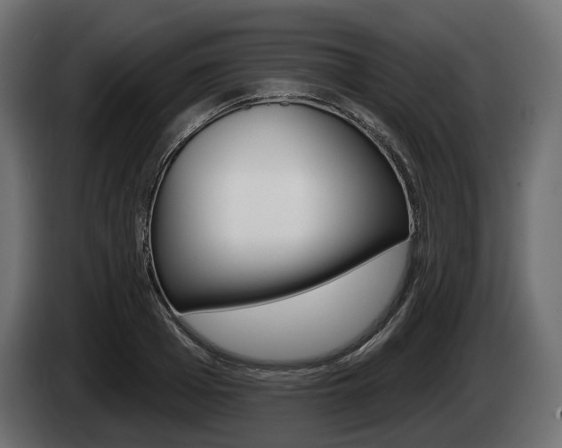X0000085020985200703050933