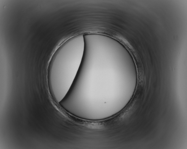 X0000085020986200703050933