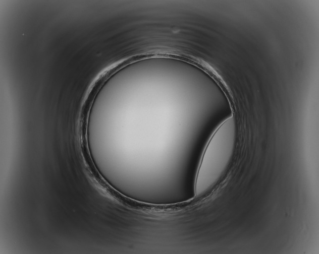 X0000085020987200703050933
