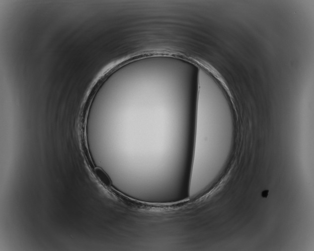 X0000085020989200703050933