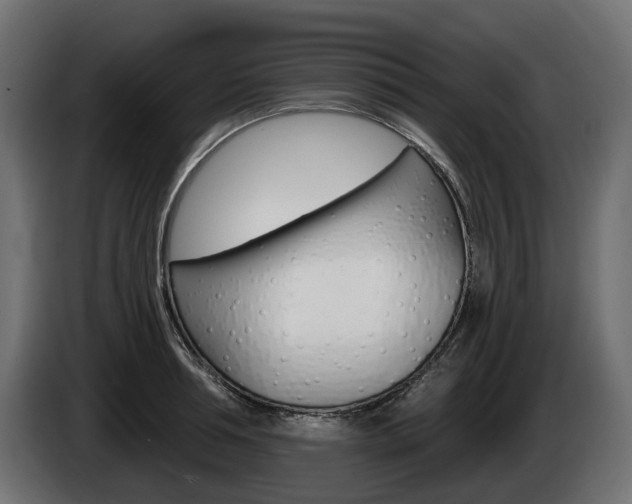 X0000085020994200703050933
