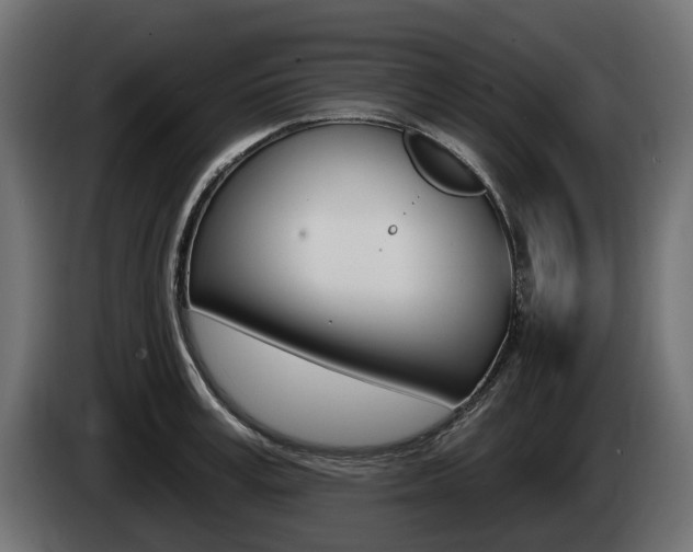 X0000085020995200703050933