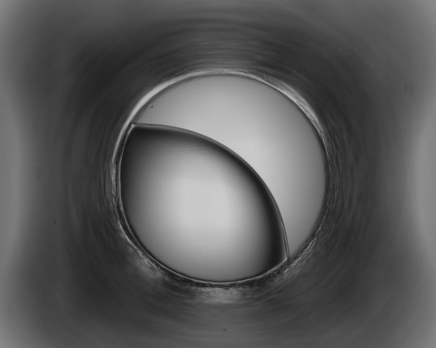 X0000085020996200703050933