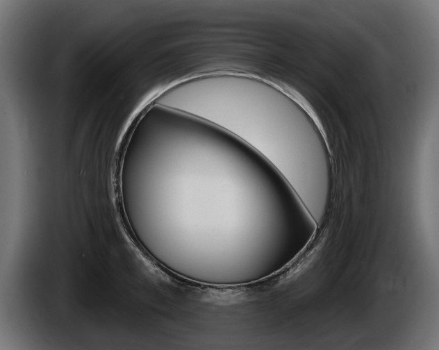 X0000085020997200703050933