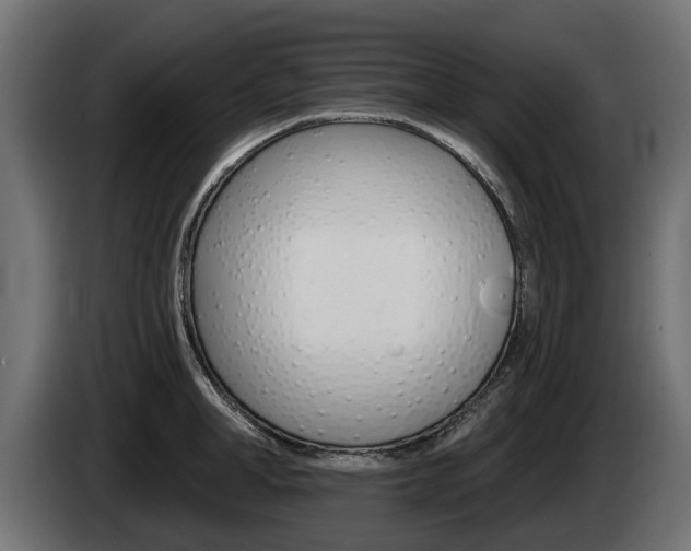 X0000085020998200703050933