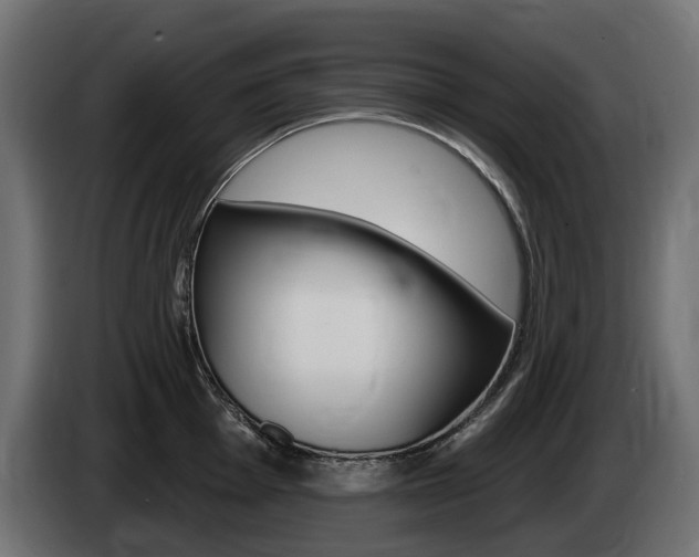 X0000085021001200703050933
