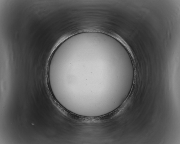 X0000085021002200703050933
