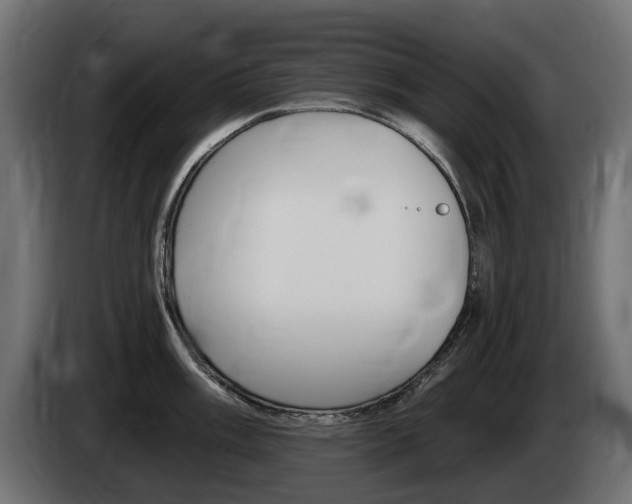 X0000085021003200703050933