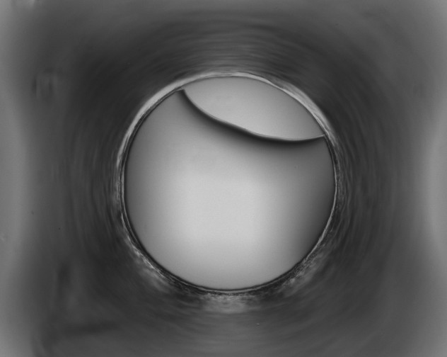 X0000085021004200703050933