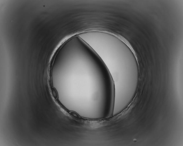 X0000085021005200703050933
