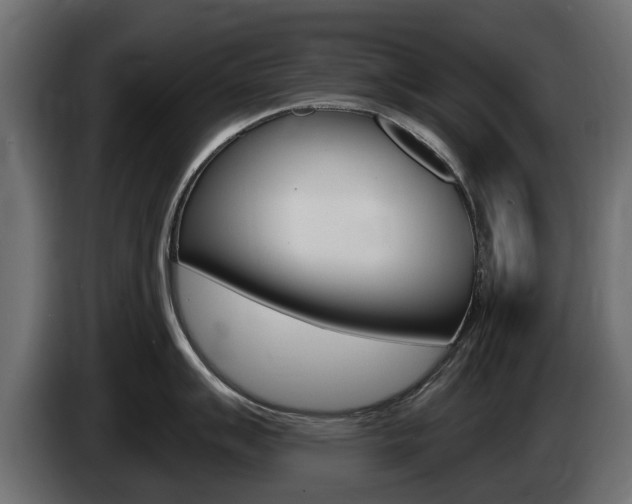 X0000085021007200703050933
