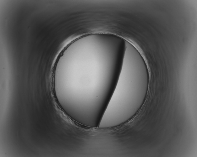 X0000085021008200703050933