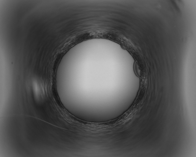 X0000085021012200703050932