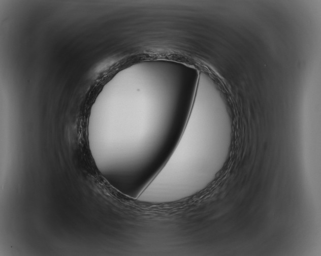 X0000085021016200703050932
