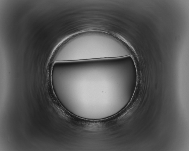 X0000085021021200703050932