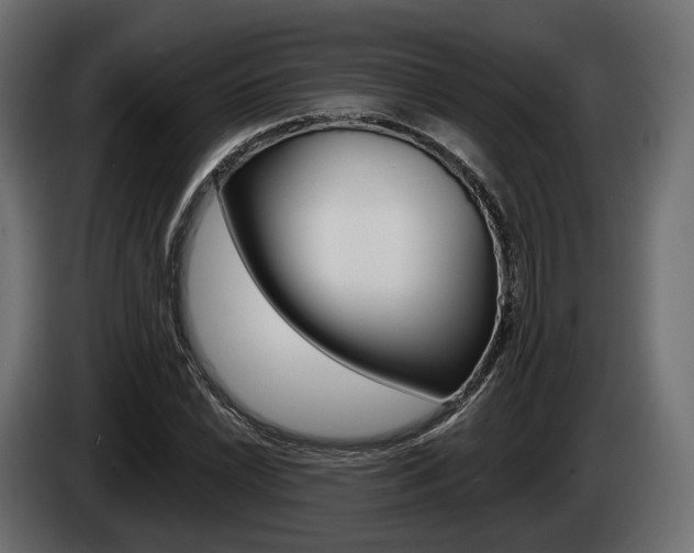 X0000085021022200703050932
