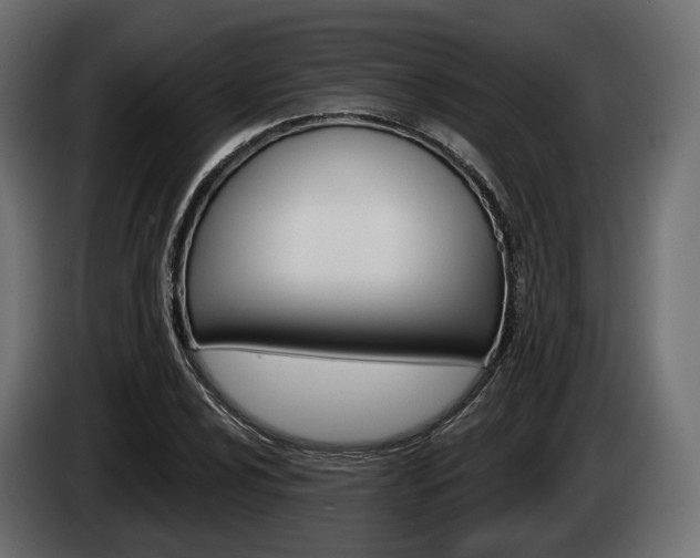 X0000085021024200703050932