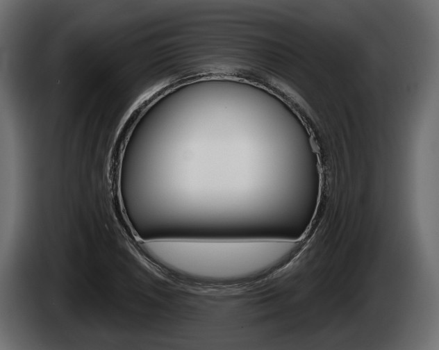 X0000085021026200703050932