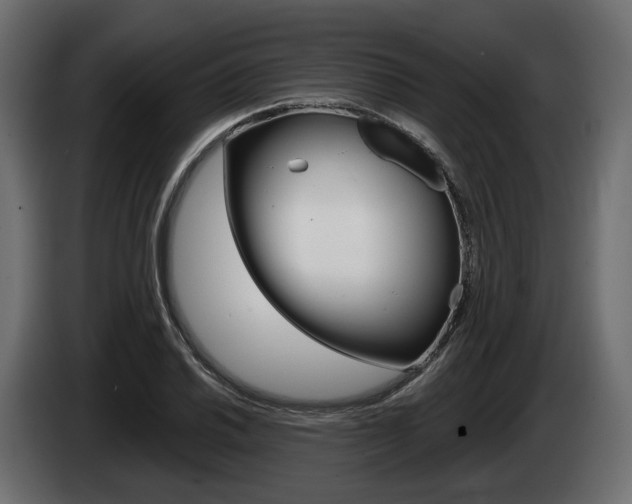 X0000085021030200703050932