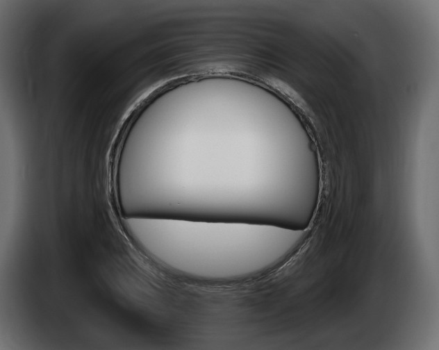 X0000085021031200703050932